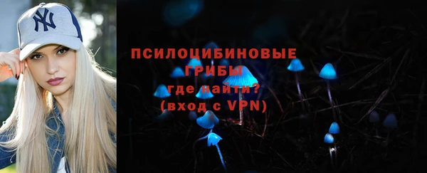 a pvp Аркадак