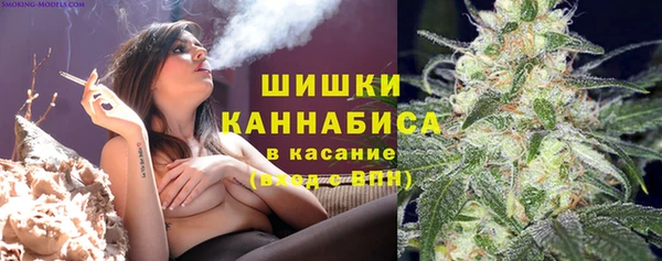 a pvp Аркадак