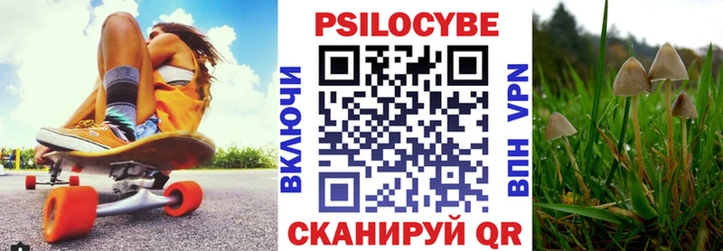 omg ССЫЛКА  где найти   Барыш  Псилоцибиновые грибы GOLDEN TEACHER 