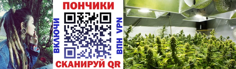 Конопля SATIVA & INDICA  Барыш 